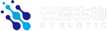 Biotecnologia sinloótica （Shanghai) co., Ltd.
