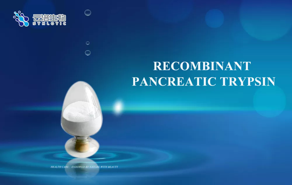 O que é a tripsina pancreática recombinante e qual é a sua função?