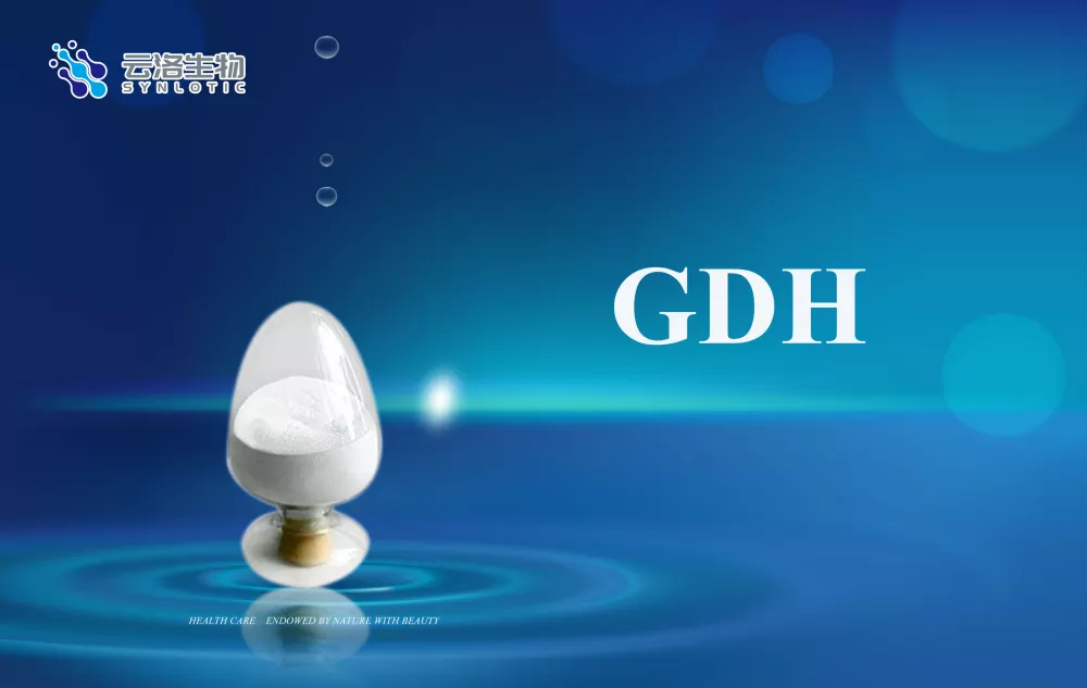 Quais são os conceitos básicos de enzimas?