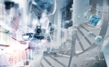 A escolha por trás da beleza: a profunda conexão entre cosméticos e vida sustentável