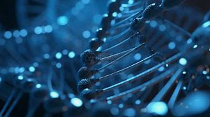 Ergotioneína: o “ouro antioxidante” na indústria alimentar e de saúde